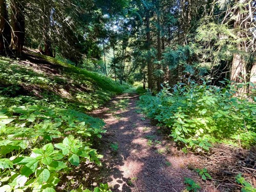 6080 Ross Road, Chilliwack, BC 