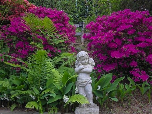 122-43995 Chilliwack Mountain Road, Chilliwack, BC 