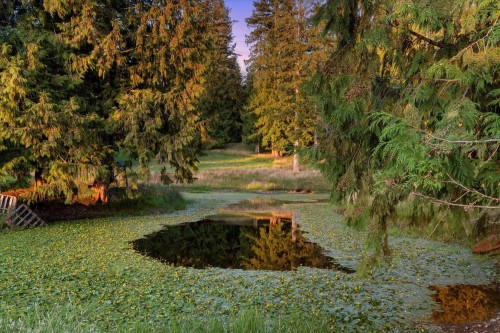 49825 Larsen Road, Chilliwack, BC 