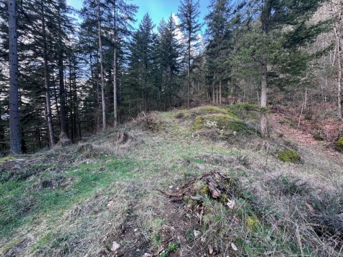 3099 Lougheed Highway, Agassiz, BC 
