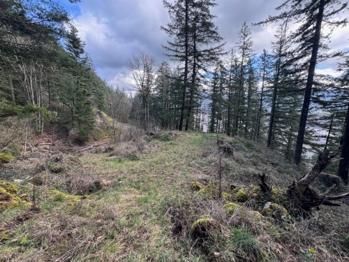 3099 Lougheed Highway, Agassiz, BC 