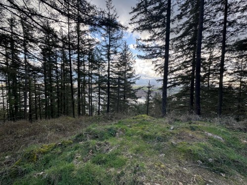 3099 Lougheed Highway, Agassiz, BC 