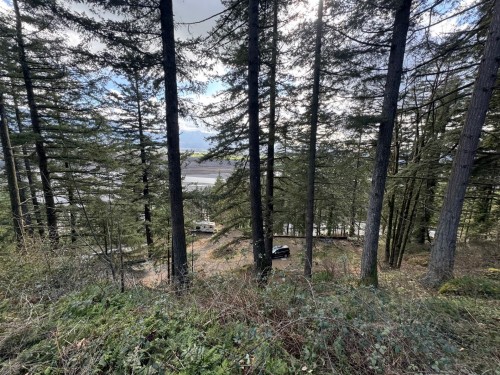 3099 Lougheed Highway, Agassiz, BC 