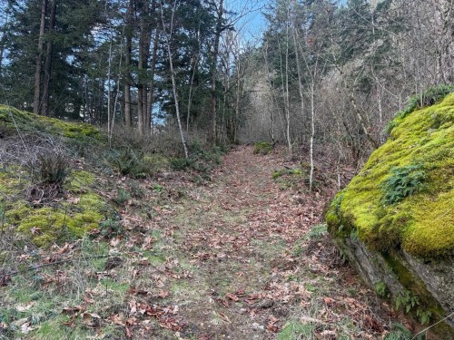 3099 Lougheed Highway, Agassiz, BC 