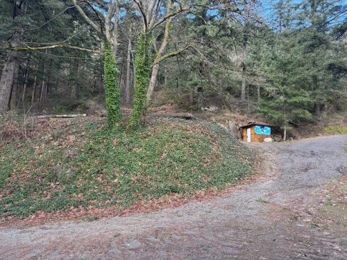 3099 Lougheed Highway, Agassiz, BC 