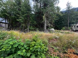 HG136 Old Hope Princeton Highway Sunshine Valley, BC V0X 1L5