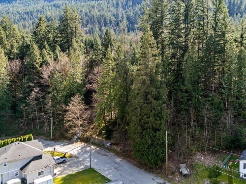 320 Forrest Crescent, Hope, BC 