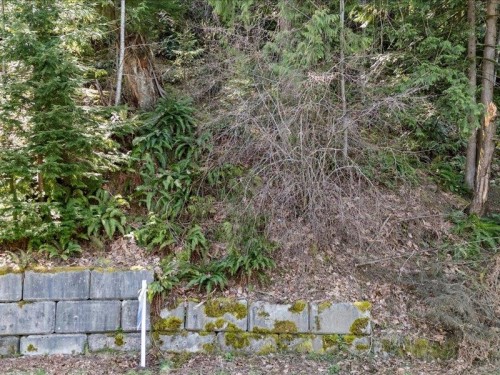 320 Forrest Crescent, Hope, BC 