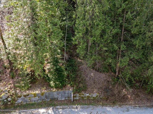 320 Forrest Crescent, Hope, BC 