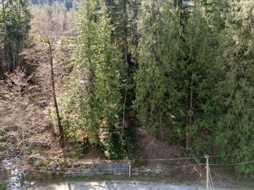 320 Forrest Crescent, Hope, BC 