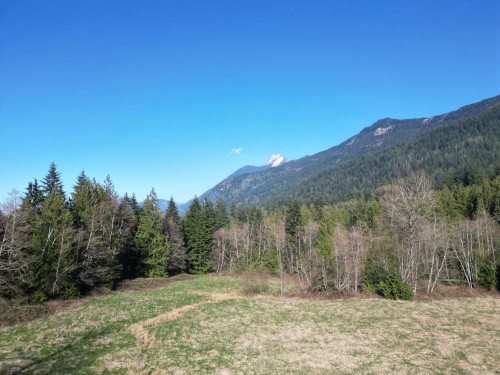 52300 Allan Road, Chilliwack, BC 