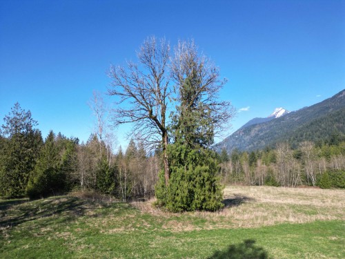 52300 Allan Road, Chilliwack, BC 