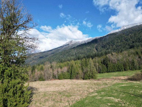 52300 Allan Road, Chilliwack, BC 