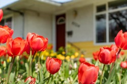 9726 Juniper Street Chilliwack, BC V2P 5J1