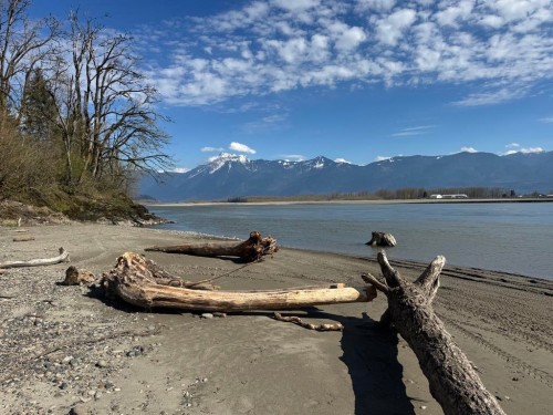 Lsub 10-Sec 19 Lougheed Highway, Harrison Mills, BC 