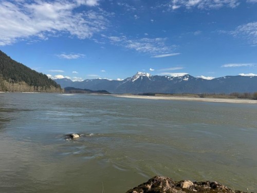 Lsub 10-Sec 19 Lougheed Highway, Harrison Mills, BC 