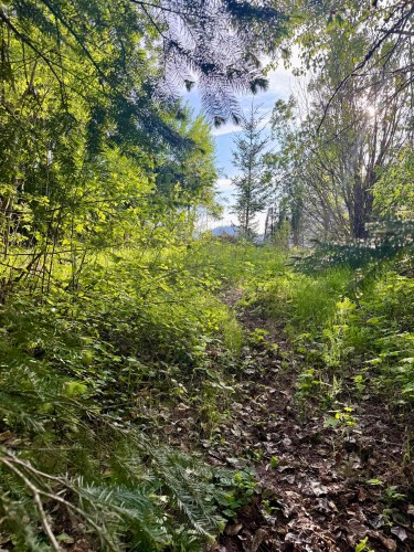 21647 Thacker Mtn Road, Hope, BC 