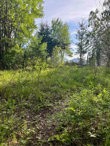 21647 Thacker Mtn Road, Hope, BC 
