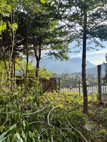 21647 Thacker Mtn Road, Hope, BC 