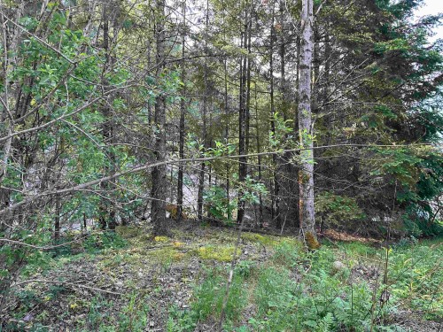21647 Thacker Mtn Road, Hope, BC 