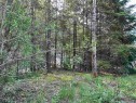 21647 Thacker Mtn Road, Hope, BC 