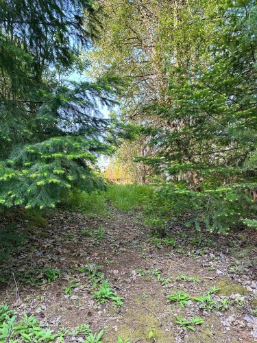 21647 Thacker Mtn Road, Hope, BC 