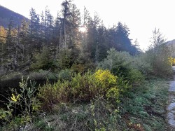 RLL1 Strawberry Lane Hope, BC V0X 1L5