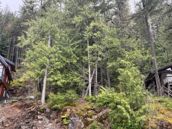 14701 Parkview Avenue Sunshine Valley, BC V0X 1L5