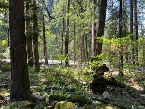 19-19743 Foster Road, Hope, BC 