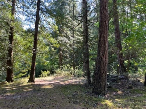 19-19743 Foster Road, Hope, BC 