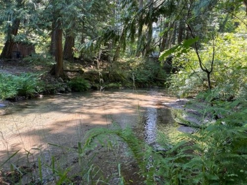 19-19743 Foster Road, Hope, BC 