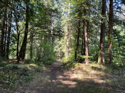 19-19743 Foster Road, Hope, BC 