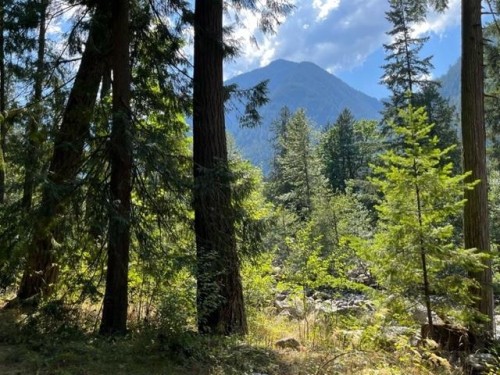 19-19743 Foster Road, Hope, BC 