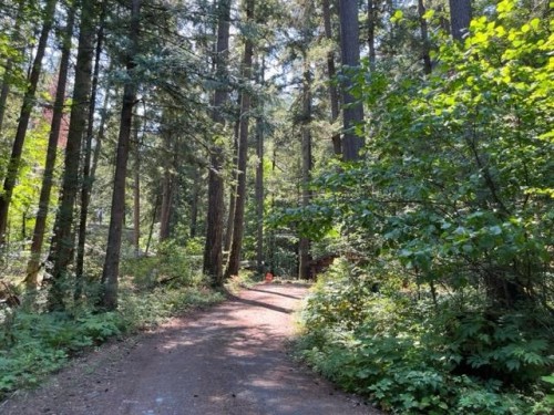 19-19743 Foster Road, Hope, BC 