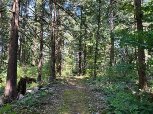 19-19743 Foster Road, Hope, BC 