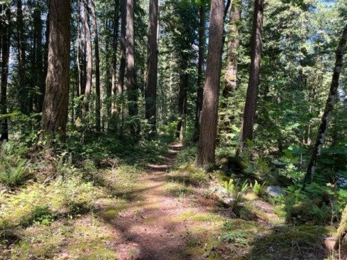 19-19743 Foster Road, Hope, BC 