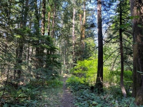 19-19743 Foster Road, Hope, BC 