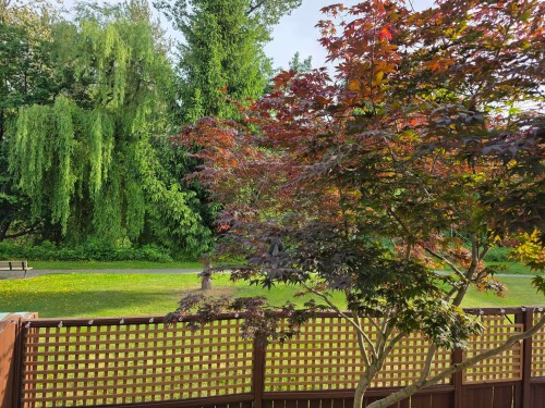 8542 Mccutcheon Avenue, Chilliwack, BC 