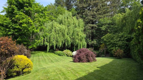 45431 Wells Road, Chilliwack, BC 