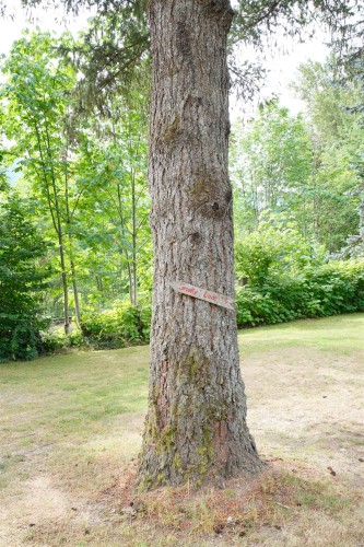 2-30860 Trans Canada Highway, Yale, BC 