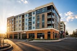 403-46187 Thomas Road Chilliwack, BC V2R 6N9