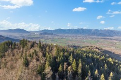 49780 Lookout Road Chilliwack, BC V4Z 1A5