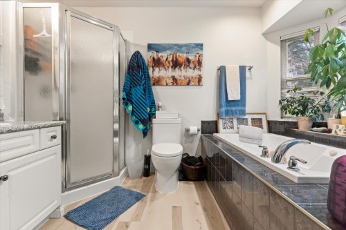 5635 Viewpoint Place, Chilliwack, BC - Indoor Photo Showing Bathroom