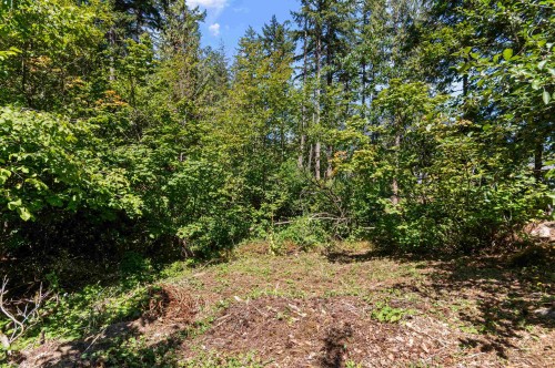 19899 Silverhope Road, Hope, BC - Outdoor