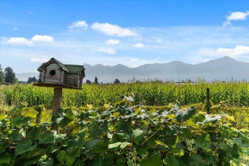 46702 Arbutus Avenue  Chilliwack, BC V2P 6P4