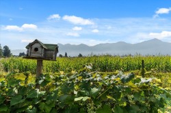 46702 Arbutus Avenue Chilliwack, BC V2P 6P4