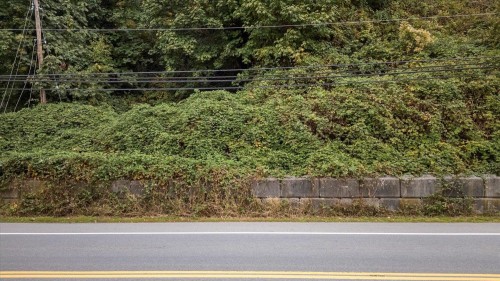 47165 Yale Road, Chilliwack, BC 