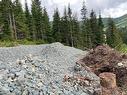 20579 Edelweiss Drive, Mission, BC 