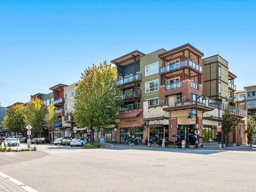 302 20728 Willoughby Town Centre Drive, Langley, BC 