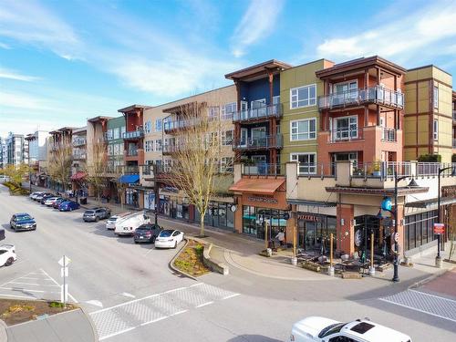 315 20728 Willoughby Town Centre Drive, Langley, BC 